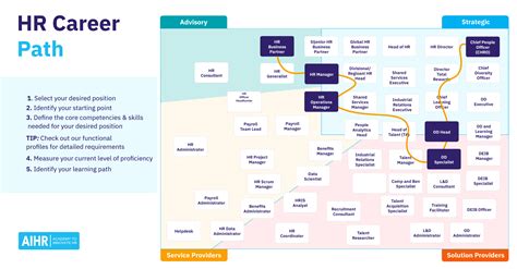 HR Career Path: Everything You Need to Know - AIHR