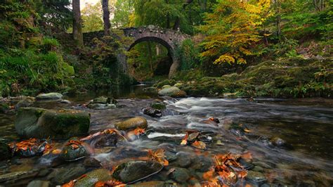 Bridges Autumn Wallpapers - Wallpaper Cave