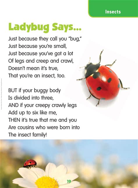 Ladybug Poems Or Quotes. QuotesGram