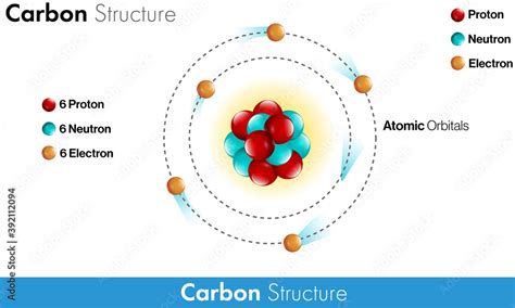 Atomic structure of carbon atom in white background showing orbitals and electrons vector ...