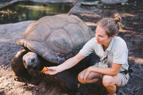 Lunch for the Animals at Jacksonville Zoo & Gardens | Edible Northeast Florida