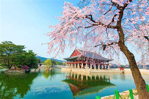 Korea Scenery Wallpapers - Top Free Korea Scenery Backgrounds - WallpaperAccess