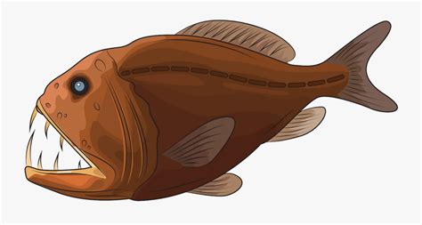 Anglerfish , Free Transparent Clipart - ClipartKey