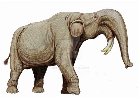 Deinotherium gigantissimum by DiBgd on DeviantArt