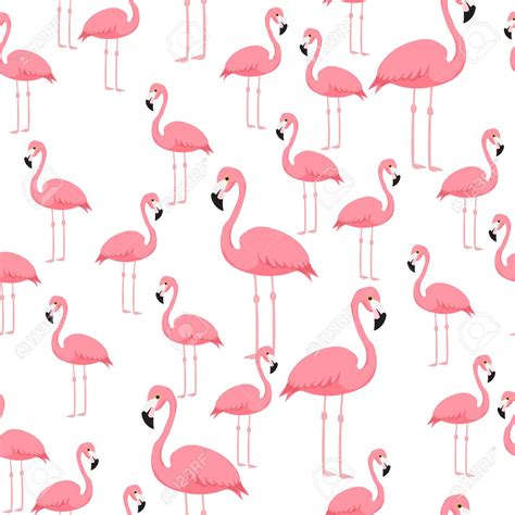 Cute Flamingo Wallpapers - Top Free Cute Flamingo Backgrounds - WallpaperAccess