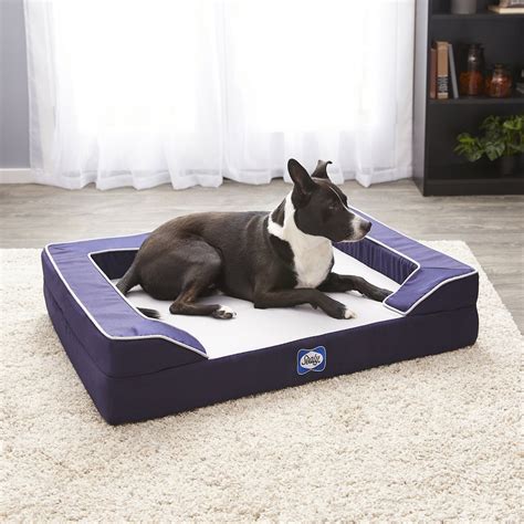 Sealy Lux Premium Orthopedic Dog Bed, Medium, Navy - Chewy.com