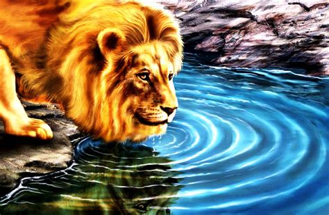 3D Wallpaper Desktop Backgrounds Lion - WallpaperSafari