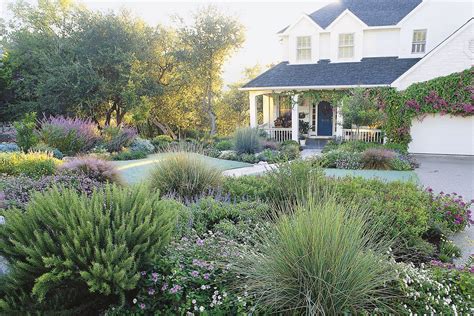 Front Yard Design Ideas No Grass / This great assortment of grass brings the wild beauty of the ...