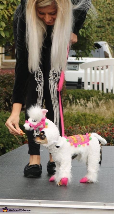 Llama Dog Costume