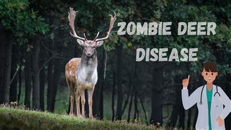 Chronic Wasting Disease (CWD) or Zombie Deer Disease, Is it a new ...