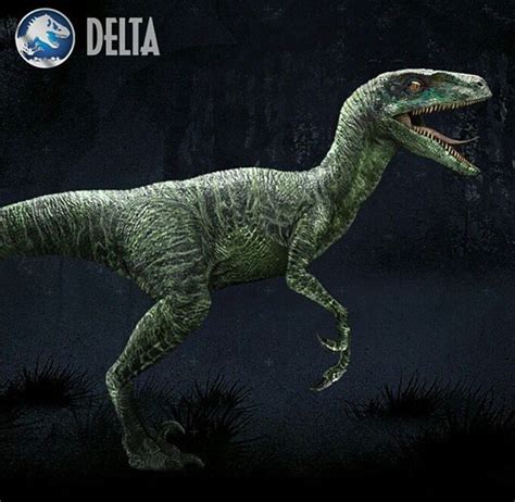 Raptor squad Delta | Jurassic world raptors, Jurassic park film ...