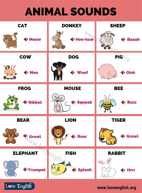 Different Types Of Animals And Their Sounds