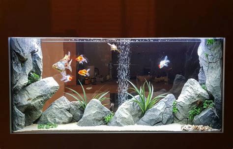 Goldfish Tank Size Guide (What's the Minimum Tank Size?)