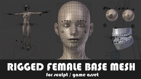 3D model Fully Rigged Female Base Mesh with Face Rig for Blender VR / AR / low-poly rigged ...