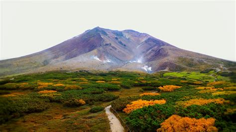 Why Central Hokkaido is the Best Place to Visit in Summer Time