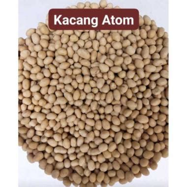 Jual Kacang Atom Oven 1 Kg Termurah - Harga Grosir Terupdate Hari Ini | Blibli