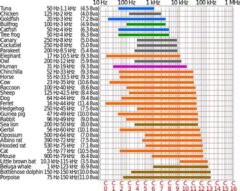 The Audio Frequency Spectrum Explained | Headphonesty