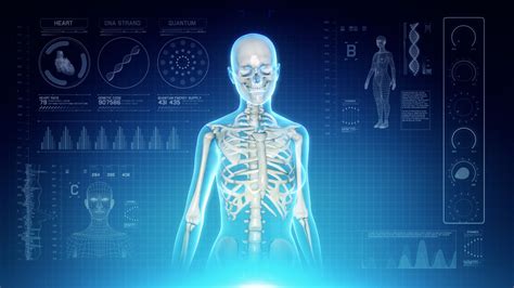 Futuristic Interface Display of Female Body Scan with Human Skeletal ...