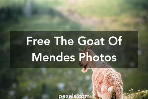 50+ Interesting The Goat Of Mendes Photos · Pexels · Free Stock Photos