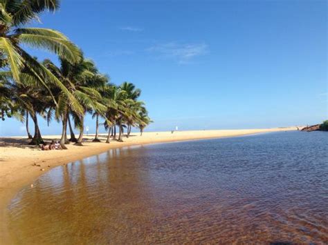 Imbassai Beach (Praia do Forte) - 2020 All You Need to Know BEFORE You ...