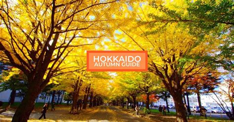 All You Need To Know About Spending Autumn In Hokkaido - Klook Travel Blog