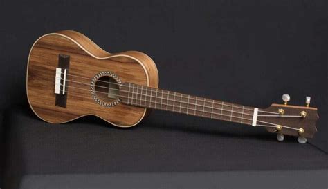 What Is A Concert Ukulele - Differences Between All Three Ukuleles