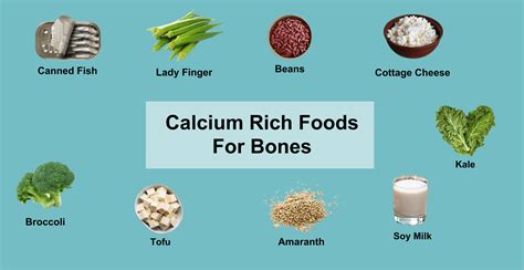 Top 15 Calcium Rich Foods for Bones by Dietitians | Livofy