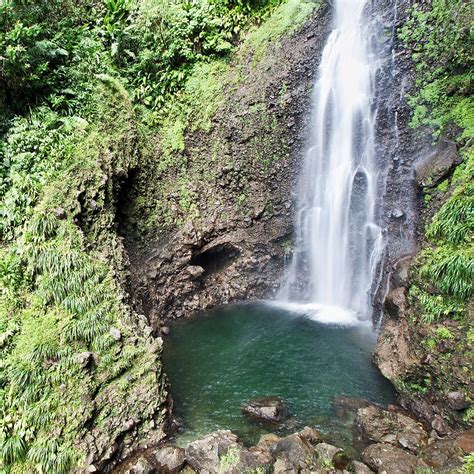 Middleham Falls: one of the nicest and tallest waterfalls in Dominica ...