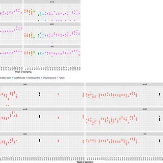 Quantification of AMR genes. AMR gene copy numbers in faecal samples... | Download Scientific ...