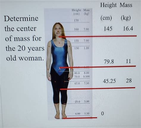 Solved Height Mass Height Mass (cm) (kg) 170 (cm) 145 (kg) | Chegg.com