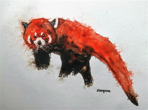 Watercolor Red Panda Painting Panda Watercolor Painting RED | Etsy