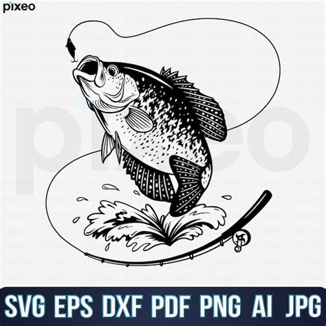 Crappie Fishing Svg Fishing Svg Crappie Fish Svg Crappie - Etsy