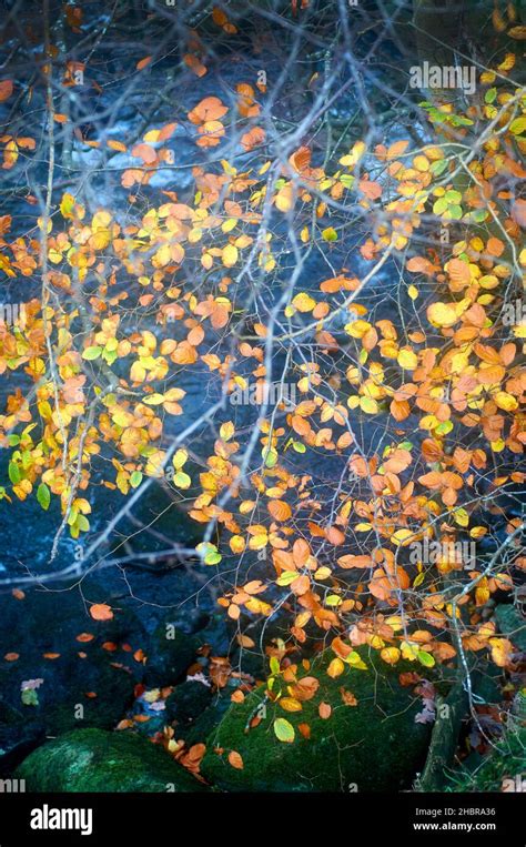 Lake District Scenery Stock Photo - Alamy