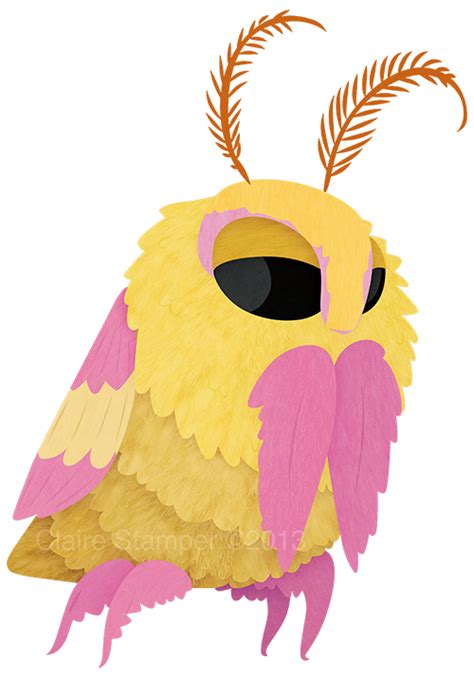 Rosy Maple Moth by Claire Stamper http://cjstamper-art.tumblr.com | Cute moth, Moth art, Moth ...