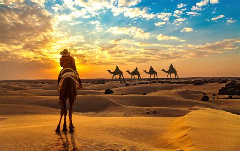 Il Turista Si Gode Il Giro In Cammello Nel Deserto Di Thar Jaisalmer ...