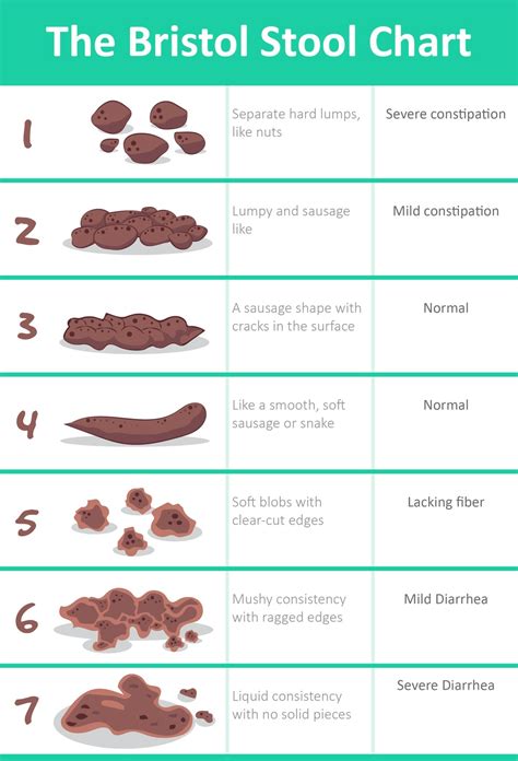 Stool Interpretation - Natural Health Connections