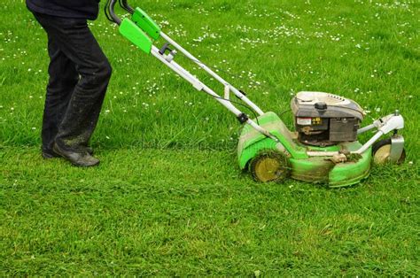 Mowing the grass stock photo. Image of lawnmower, cutting - 42481120