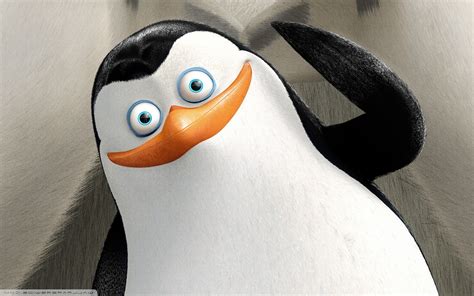 Penguins Of Madagascar, Cartoon, Movies Wallpapers HD / Desktop and Mobile Backgrounds