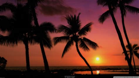 Tropical Beach Sunset Wallpaper - WallpaperSafari