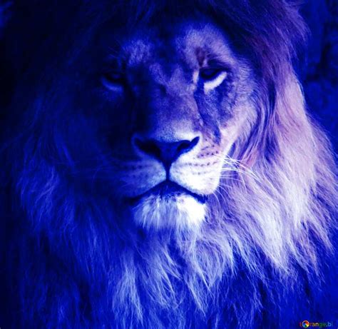 Blue Lion Wallpaper : Blue Lion Wallpapers | goawall