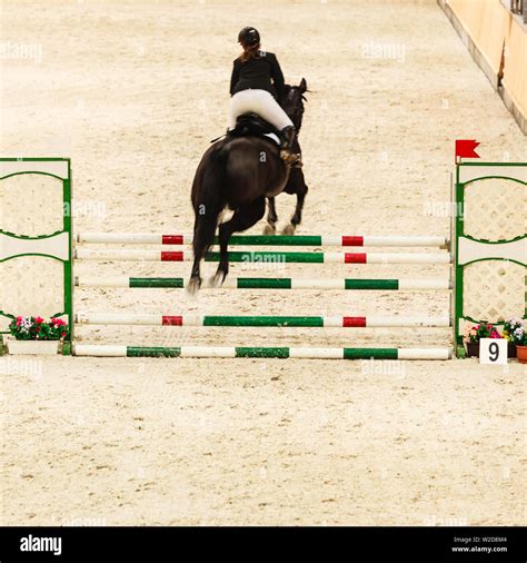 Equitation. Riding competition. Show jumping, horse and rider over jump Stock Photo - Alamy