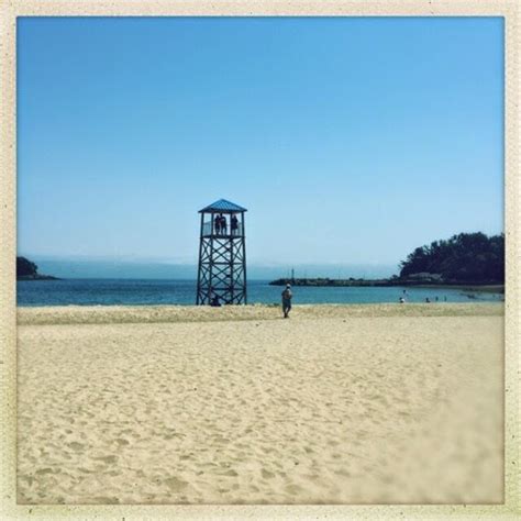 S.O.S: South of Seoul: Pyeongtaek Summer Beach Bus Details & Dates