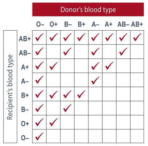 Introduction to Blood Types