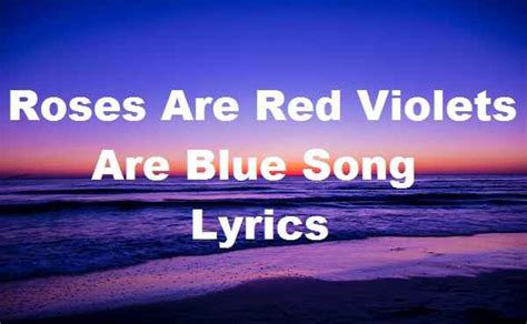 Roses Are Red Violets Are Blue Song Lyrics - Song Lyrics Place