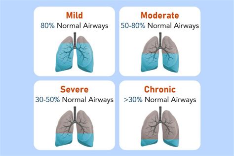 Copd Disease