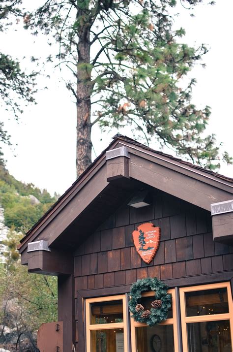 winter in yosemite national park -life on pine