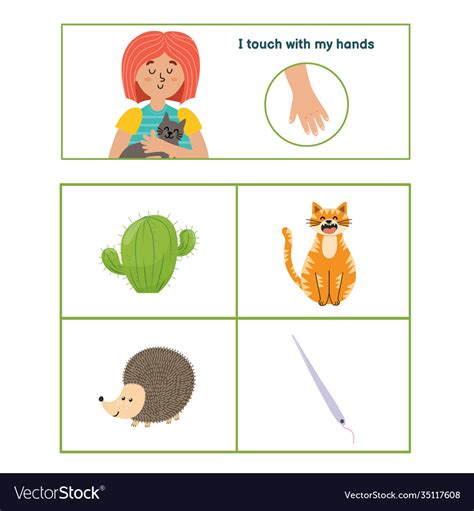 Five senses poster touch sense presentation page Vector Image