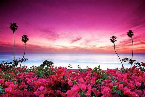 Pink sunset on the beach, beach, sunset, nature, pink, HD wallpaper | Peakpx