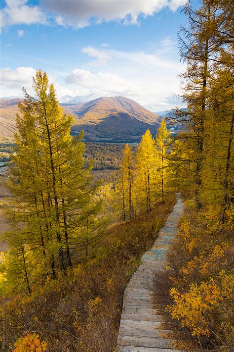 «Autumn Landscapes At Xinjiang China» del colaborador de Stocksy «Bo Bo» - Stocksy