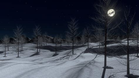 Winter Night 1920x1080 Wallpapers - Wallpaper Cave